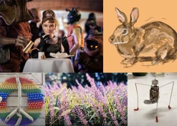 SAC Community Art Share work by Trevor Williams, Miles Partington, Nancy Hardy Baldwin, Larissa Danovitch and Paton Miller