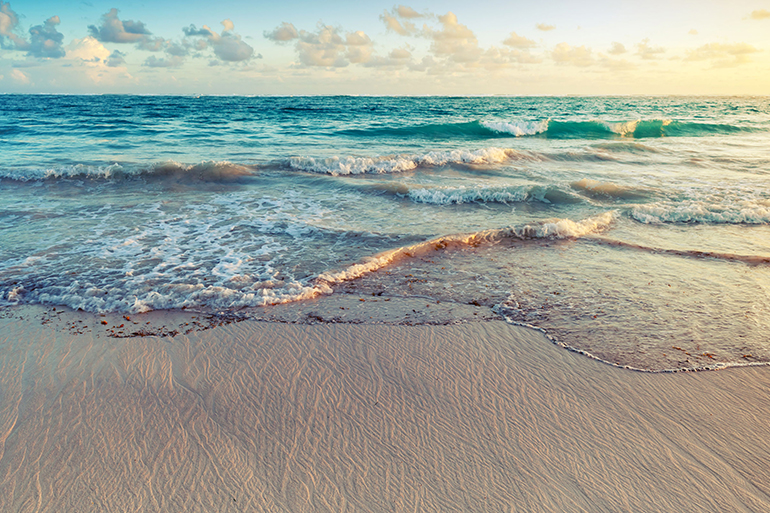 Bay beach or ocean, either one will do