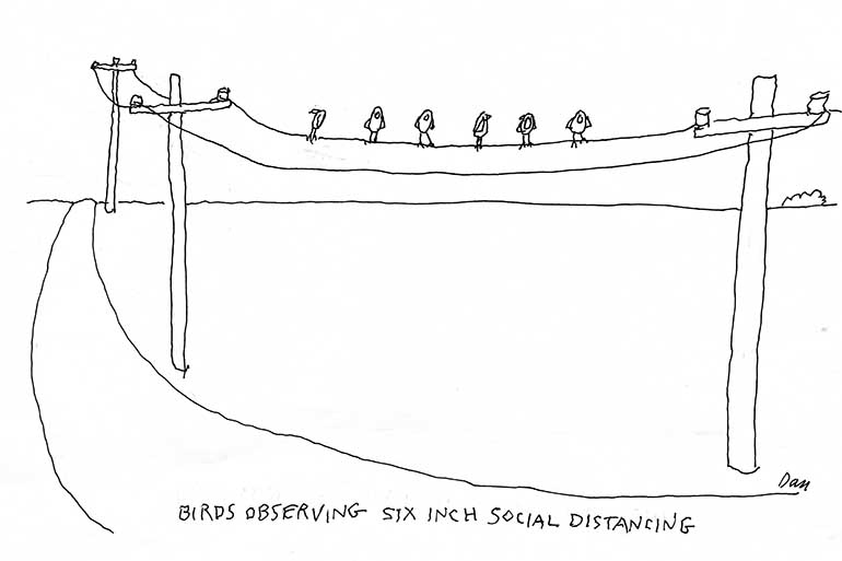 Dan Rattiner cartoon with birds observing social distancing on telephone wires