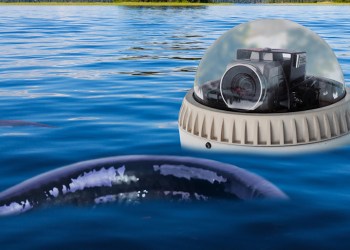 Lake Agawam water testing device and giant eel STEVE