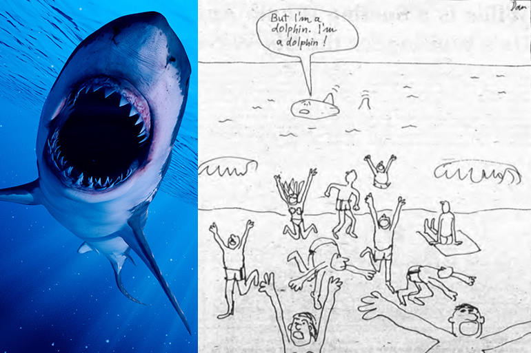 Expectation vs. reality, Photo: 123RF, Drawing: Dan Rattiner