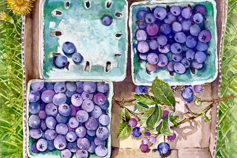 "U-Pick Blueberries, Orient, NY" by Ann Kissane Engelhart