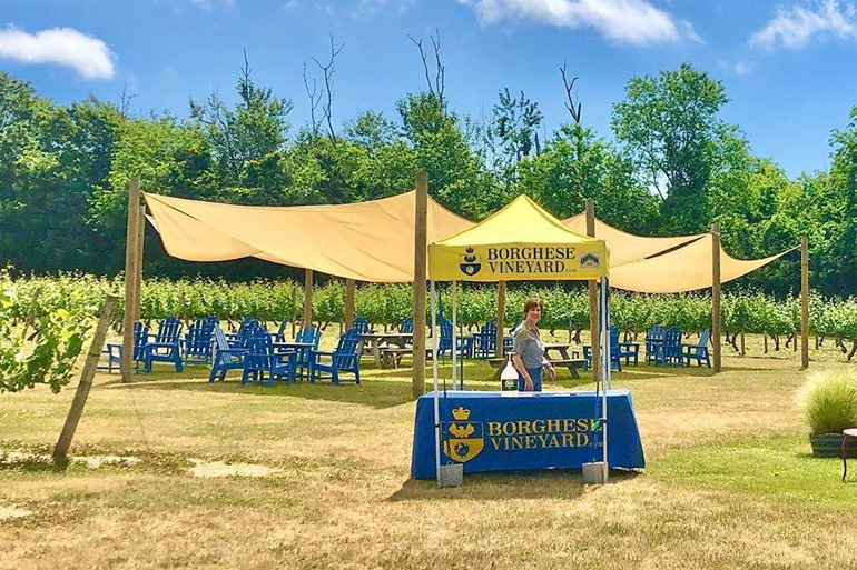 Borghese Vineyard's beautiful outdoor space, Photo: Allissa Goodale, ©Borghese Vineyard