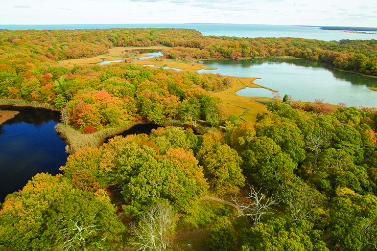 An aerial view of Mashomack, Photo: Courtesy The Nature Conservancy