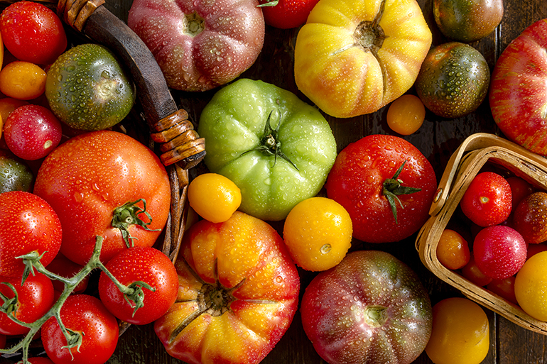 Colorful assortment of fresh organic heirloom tomatoes sitting on wooden table