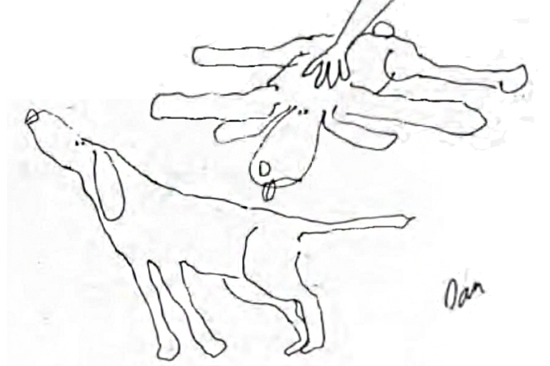 Dan Rattiner's drawings for "My Dog and the Doctor"