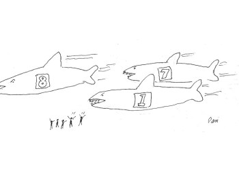 SharkCartoon-gh