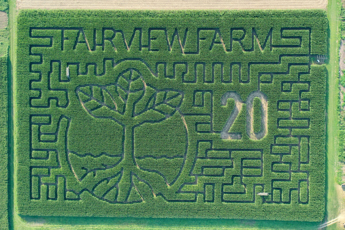 Fairview Farm at Mecox’s 2020 Maize