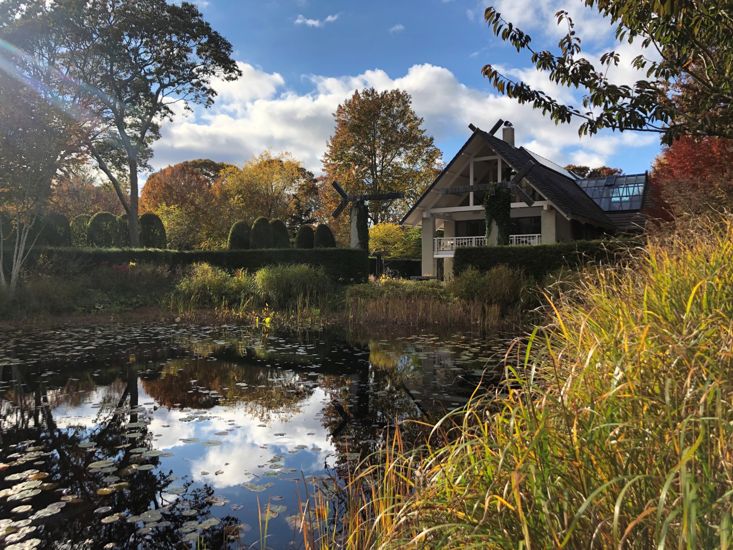 Peter's Pond at LongHouse Reserve, Photo: Courtesy LongHouse Reserve