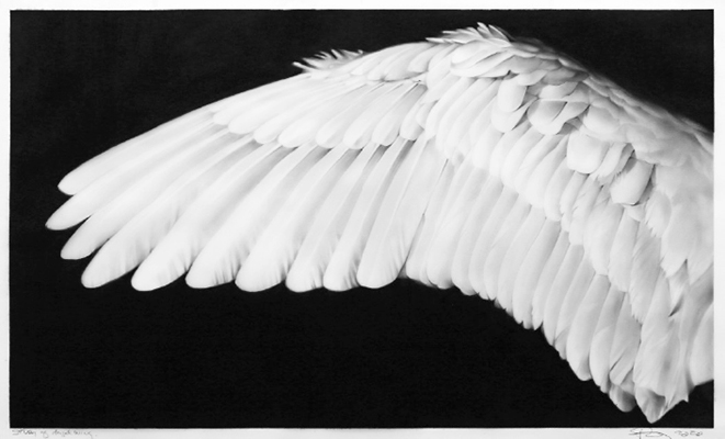 Robert Longo's "Study of an Angel Wing;" on view at Guild Hall