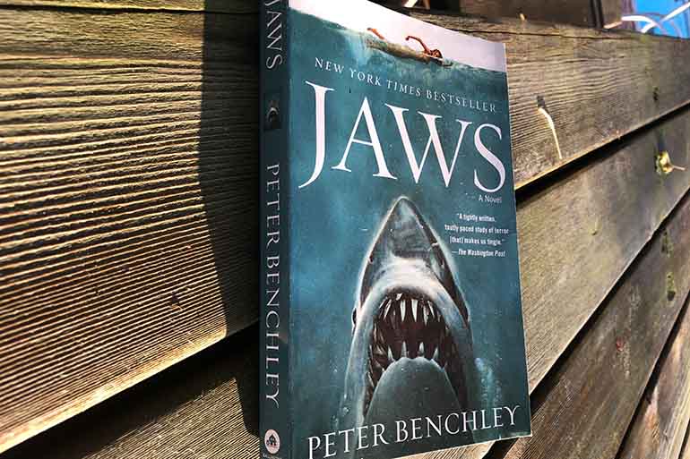 Jaws