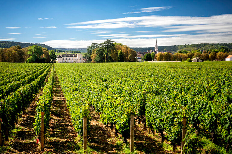 Château de Meursault in Burgundy, France, Photo: 123RF