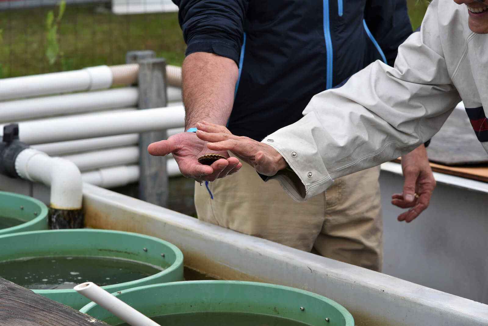 EH Oyster Garden Dan’s Papers
