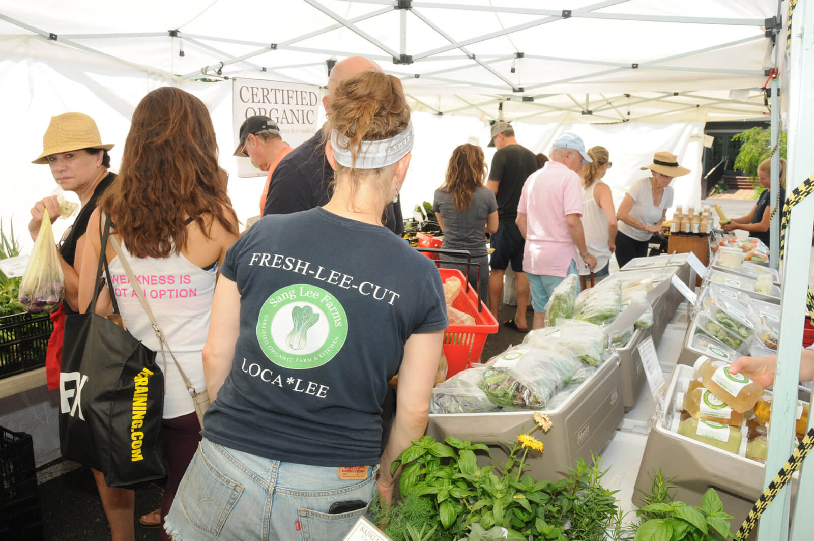 East Hampton Farmers Market Dan’s Papers