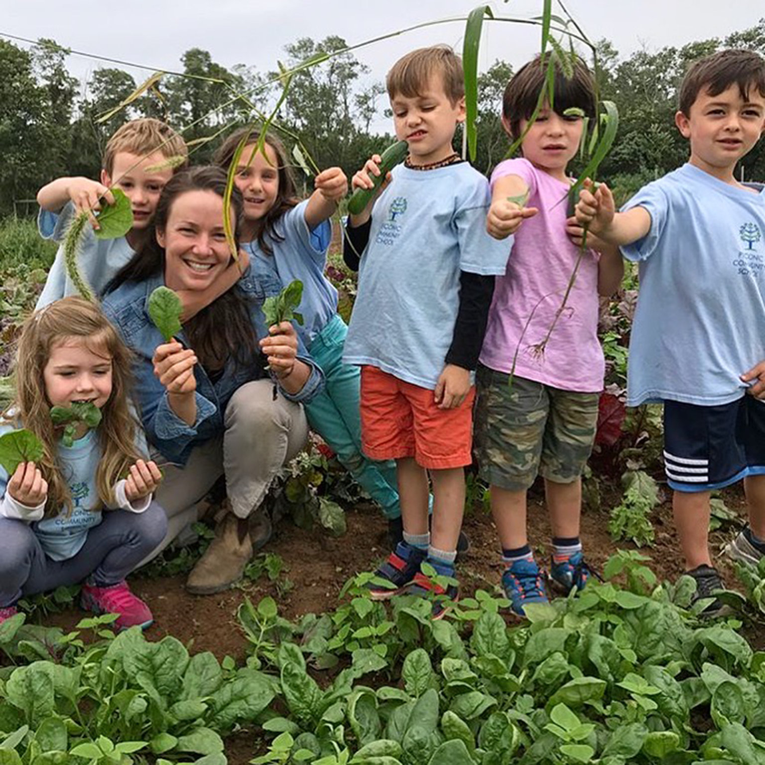 Farm Fresh Sang Lee Farms Dan’s Papers