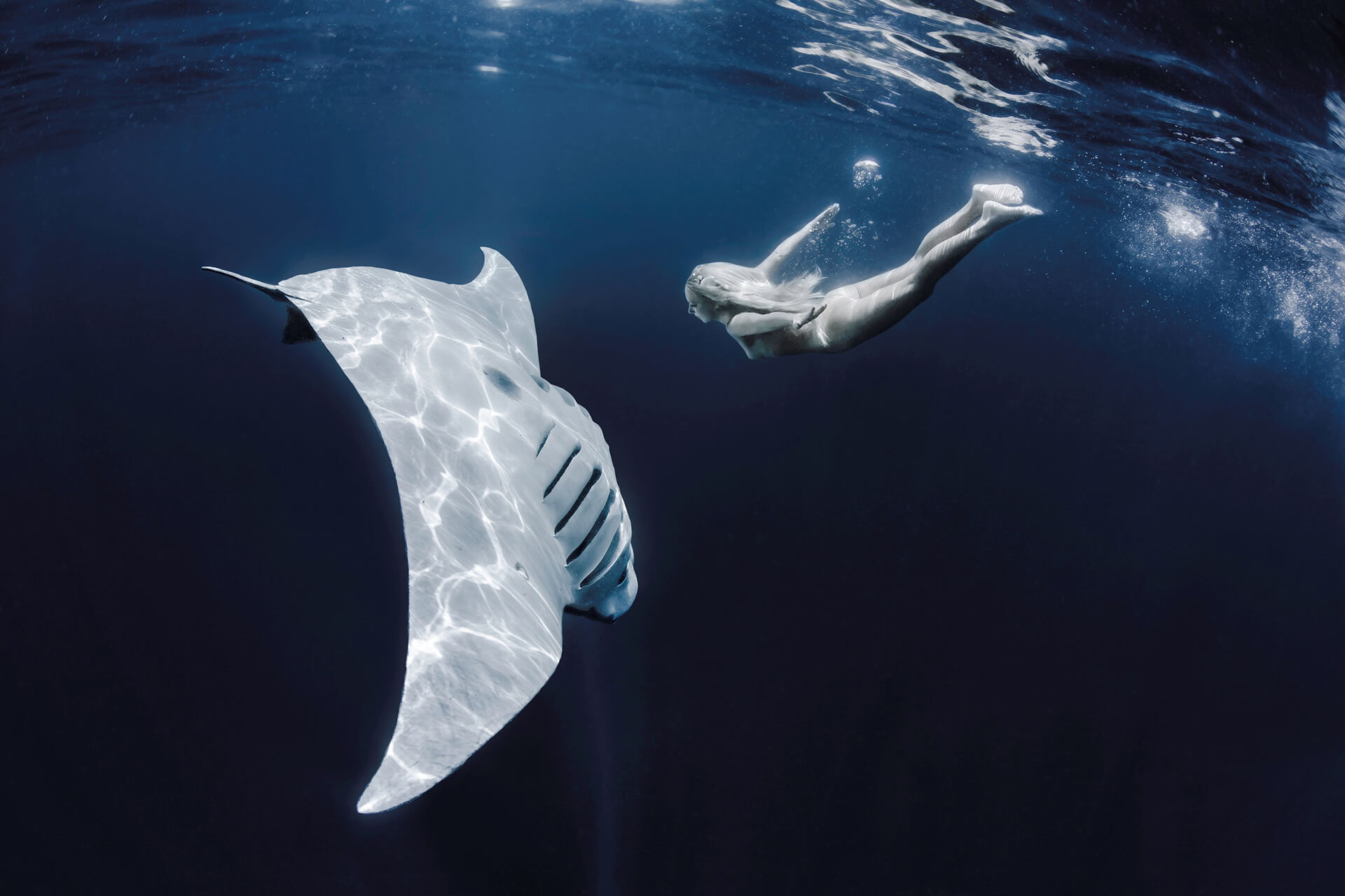 Shawn Heinrichs