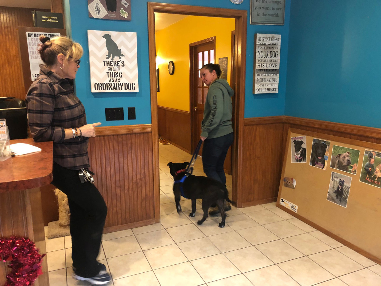 Most eaten food in the world picture