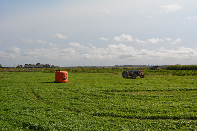 Schmitt & Son Farm, Photo: David Taylor