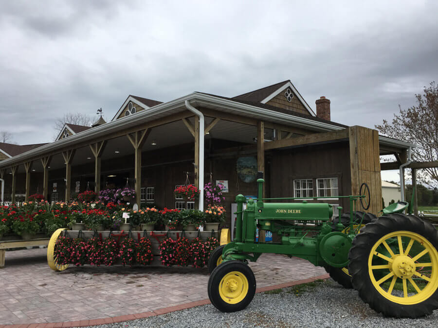 Farm Stands Open On The North Fork Dan s Papers farm-stands-open-on-the-north-fork-dan-s-papers