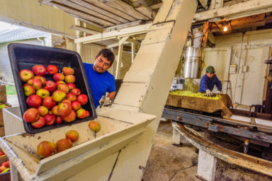The cider press at Wickham's Fruit Farm in Cutchogue on the North Fork
