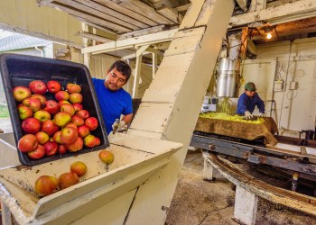 The cider press at Wickham's Fruit Farm in Cutchogue on the North Fork