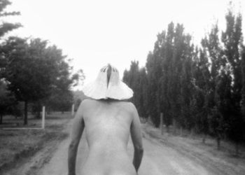 Robin Rice