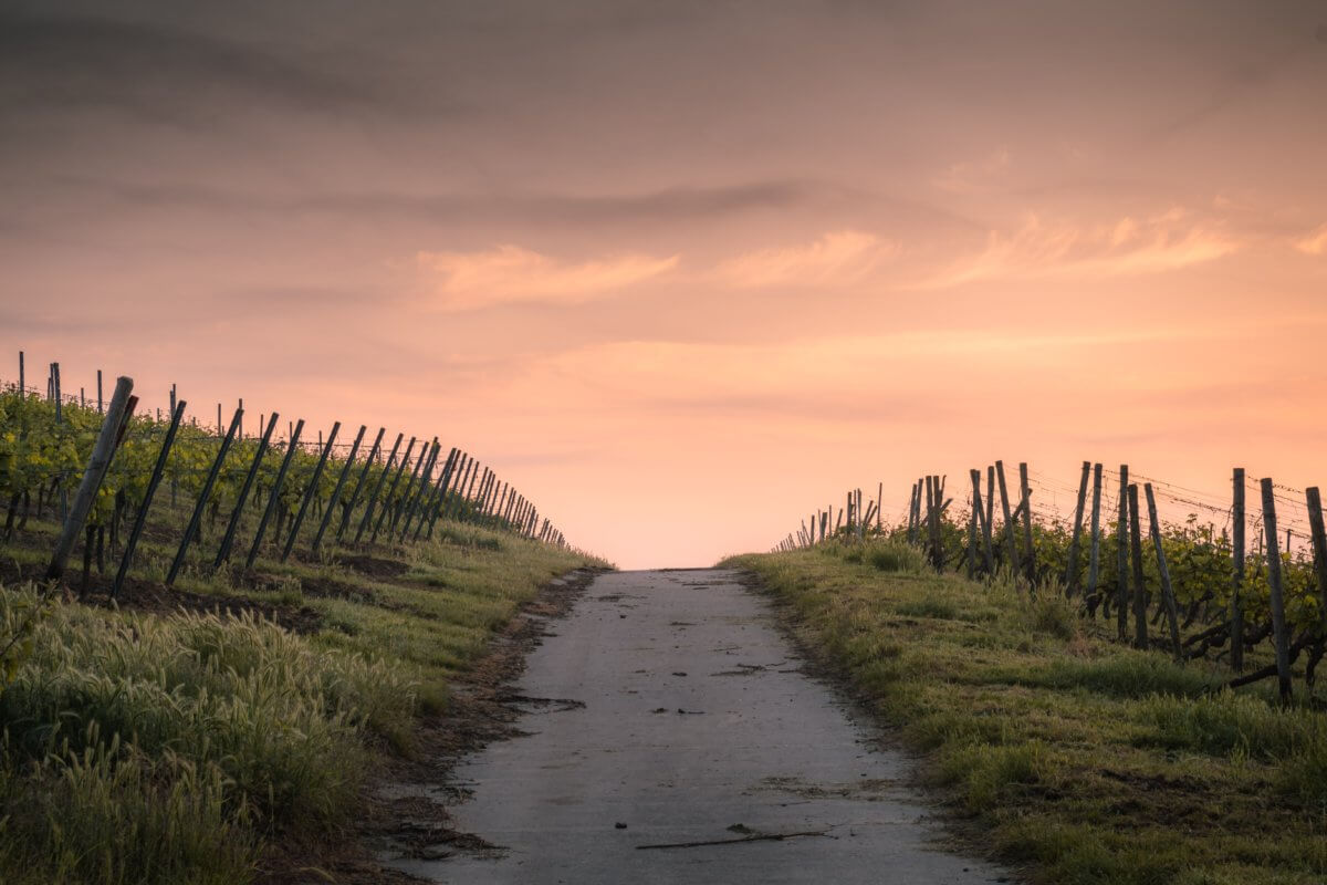 wheretowine