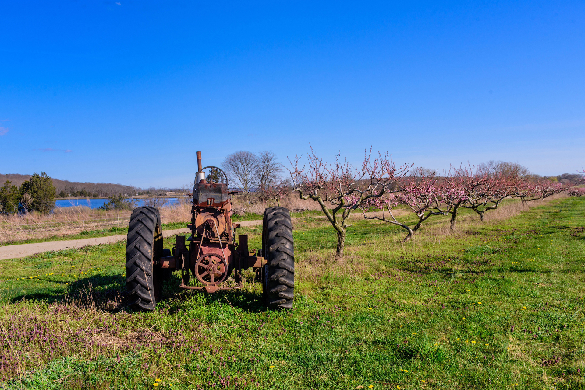 Wickham Farm is the subject of Southold Historical Society's first talk in the 2023 Winter Lecture Series