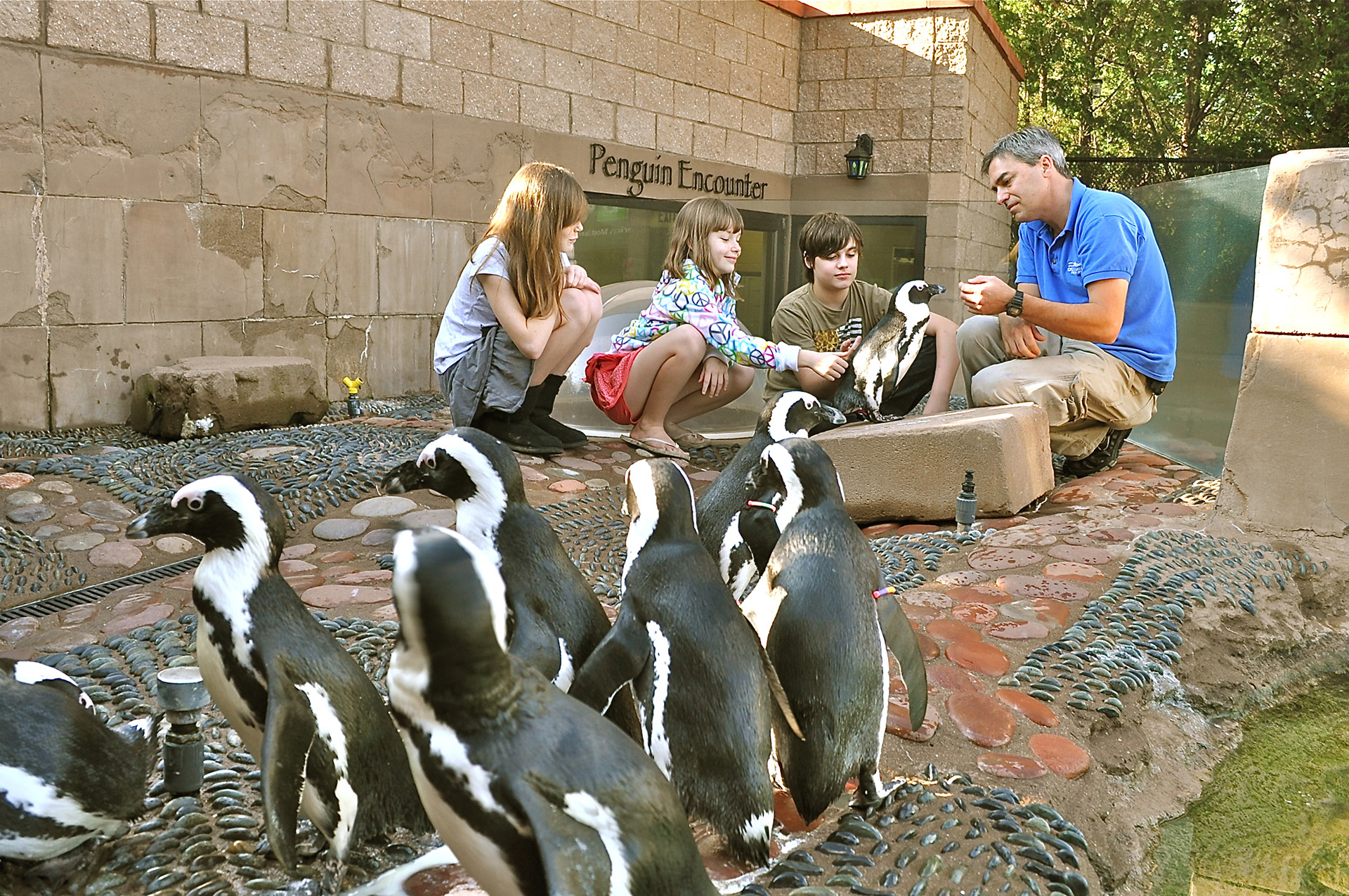 Animal-Lovers-GuideLI-Aquarium-Penguin-Encounter-copy