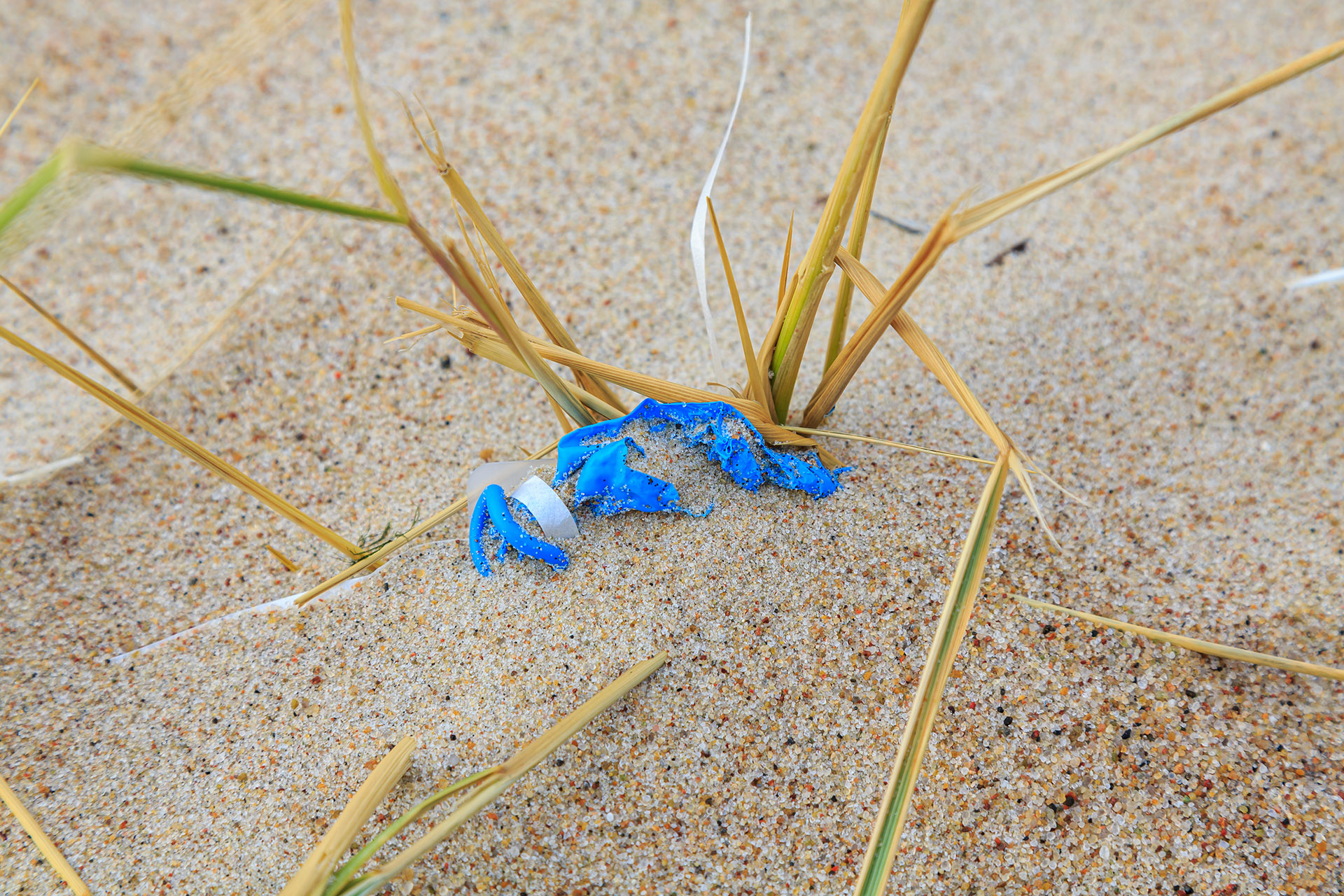 Plastic Waste at the Seaside 3