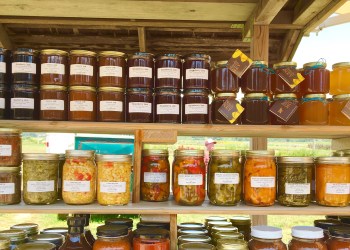 Balsam-Farms-IMG_0095
