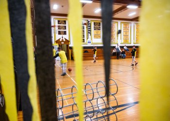 Bhampton_Beehive_020520_0012-1