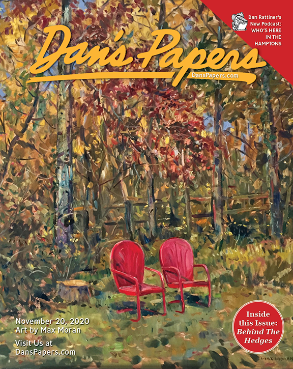 Max Moran's art on the cover of the November 20, 2020 Dan's Papers issue
