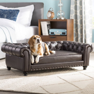 Archie & Oscar Brown Cornelia Dog Sofa, $399.99