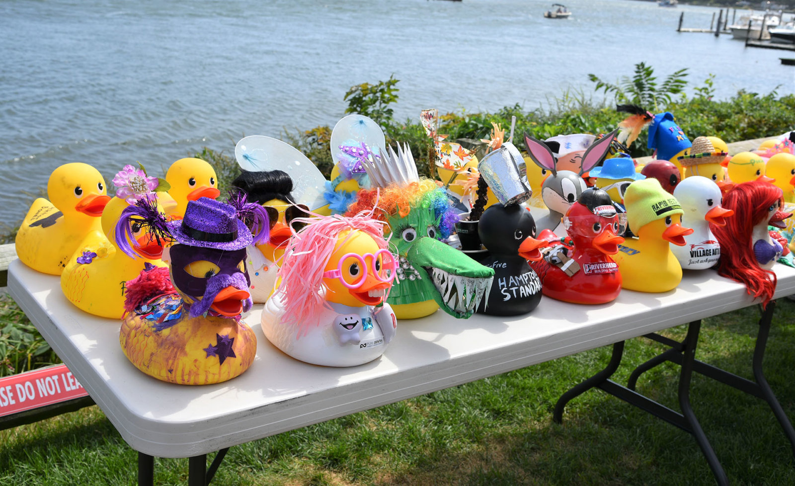 Rubber Duckie, You’re The One Dan’s Papers