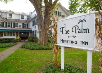 The Palm