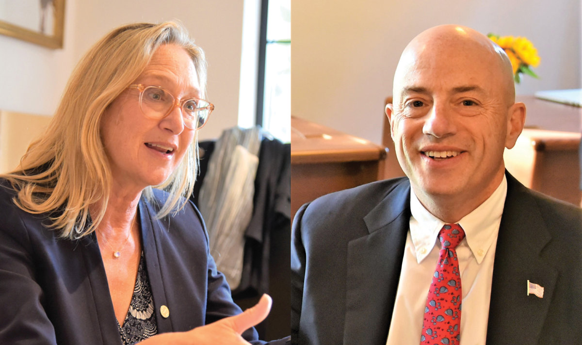 Suffolk County Legislator Bridget Fleming, left, and Perry Gershon are two of four Congressional candidates for the Democrats who live on the South Fork.
