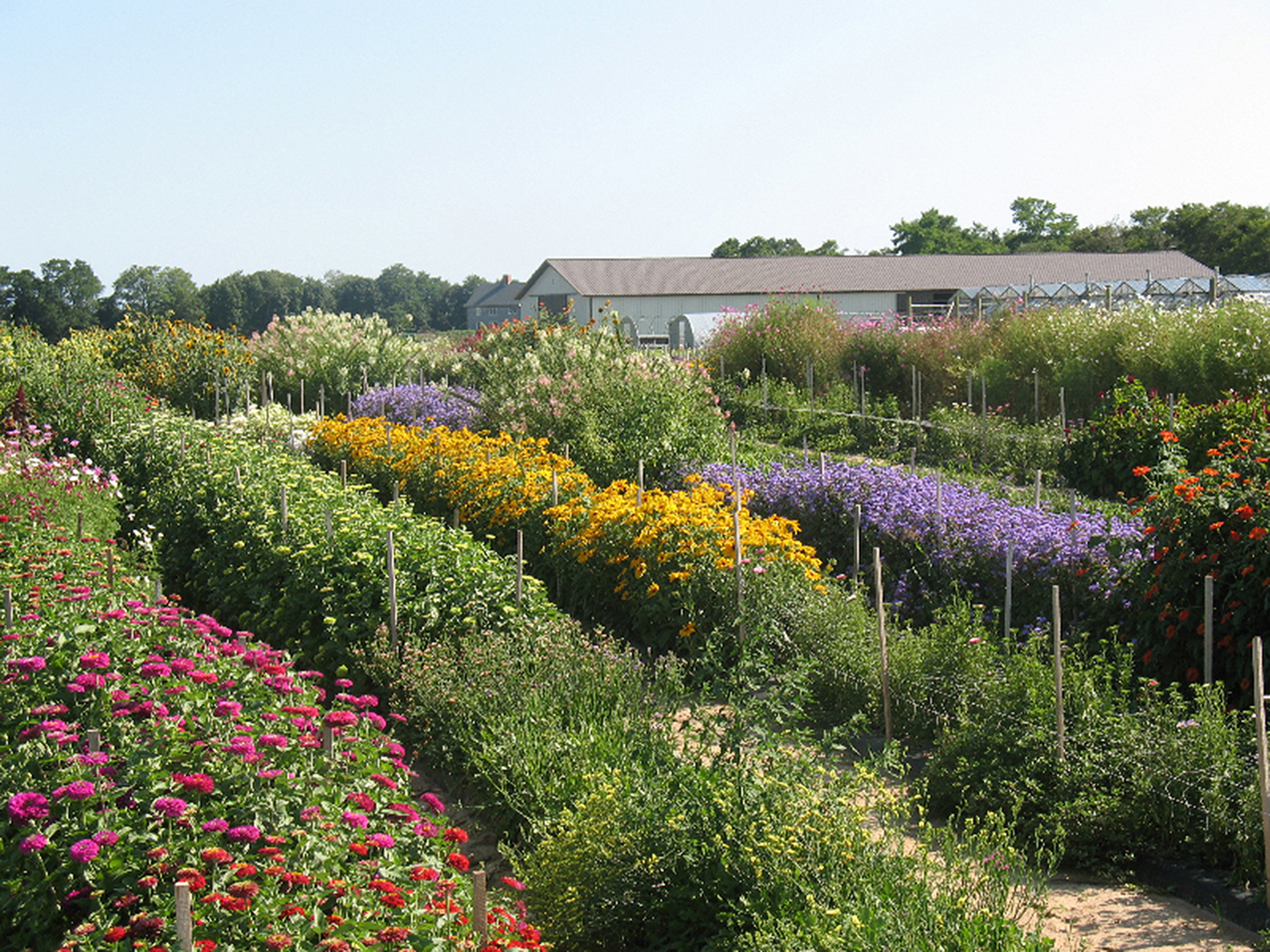 Halsey-Farm-Stand-HalseyFarm.com_