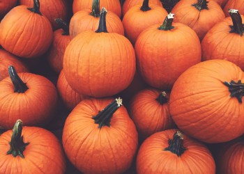 pumpkins