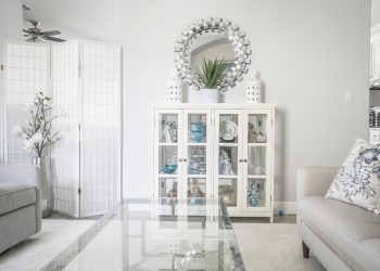 Home-Harmony-HH-Mini-Move-Protocol-11-4
