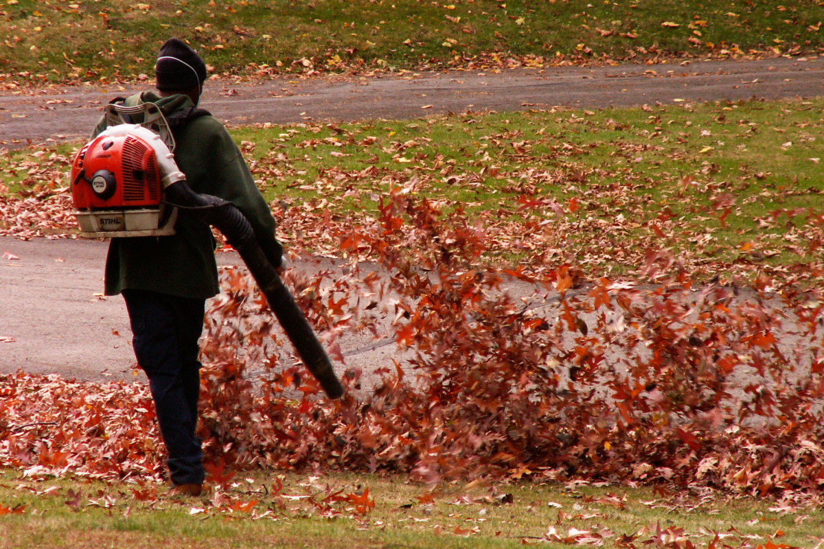 Seasonal Leaf Blower Ban May Come To Village Dan’s Papers