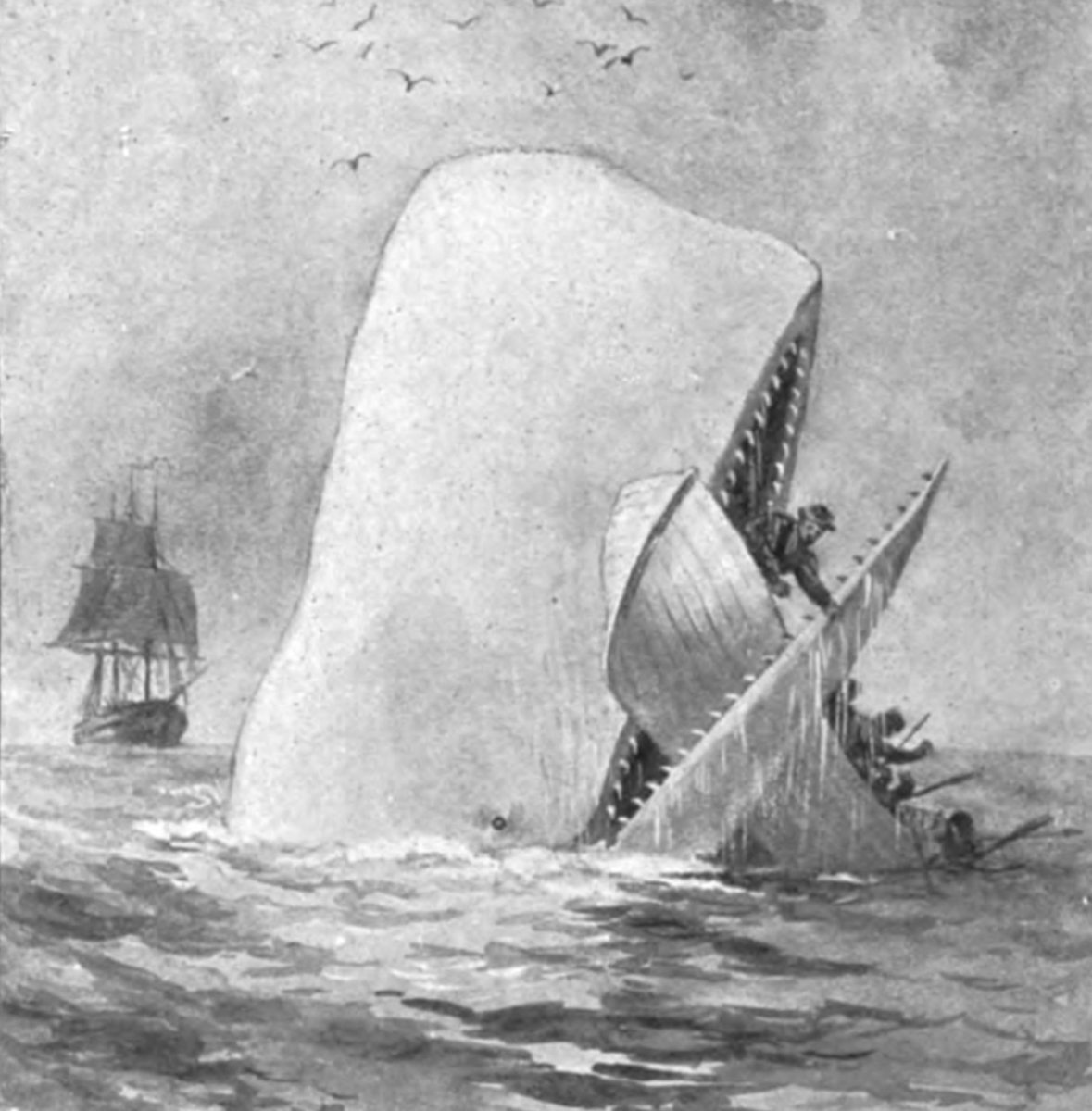 An illustrated page out of "Moby Dick"