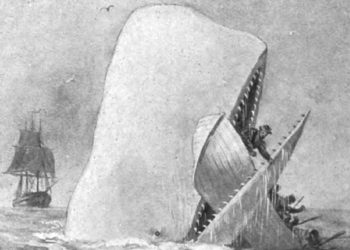 Moby Dick