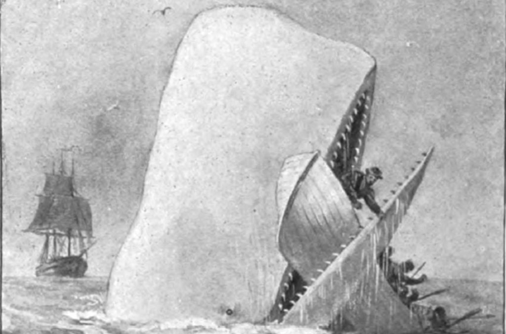Moby Dick