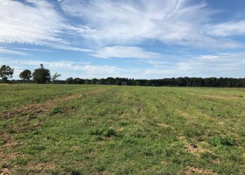 Courtesy of Peconic Land Trust