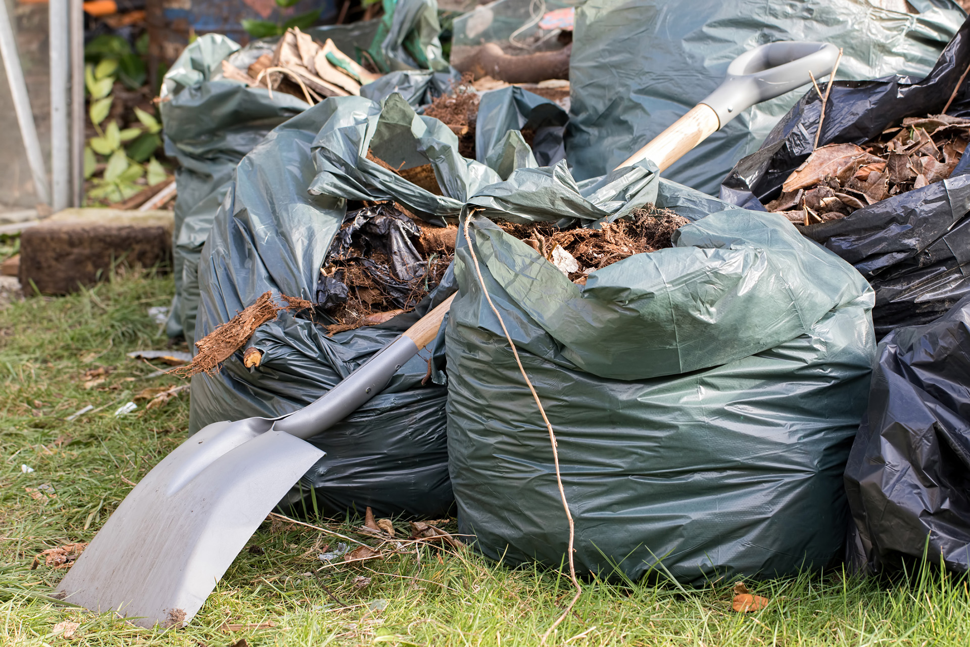 Garden waste. Brown leaves and rubbish collected from gardening tidy.