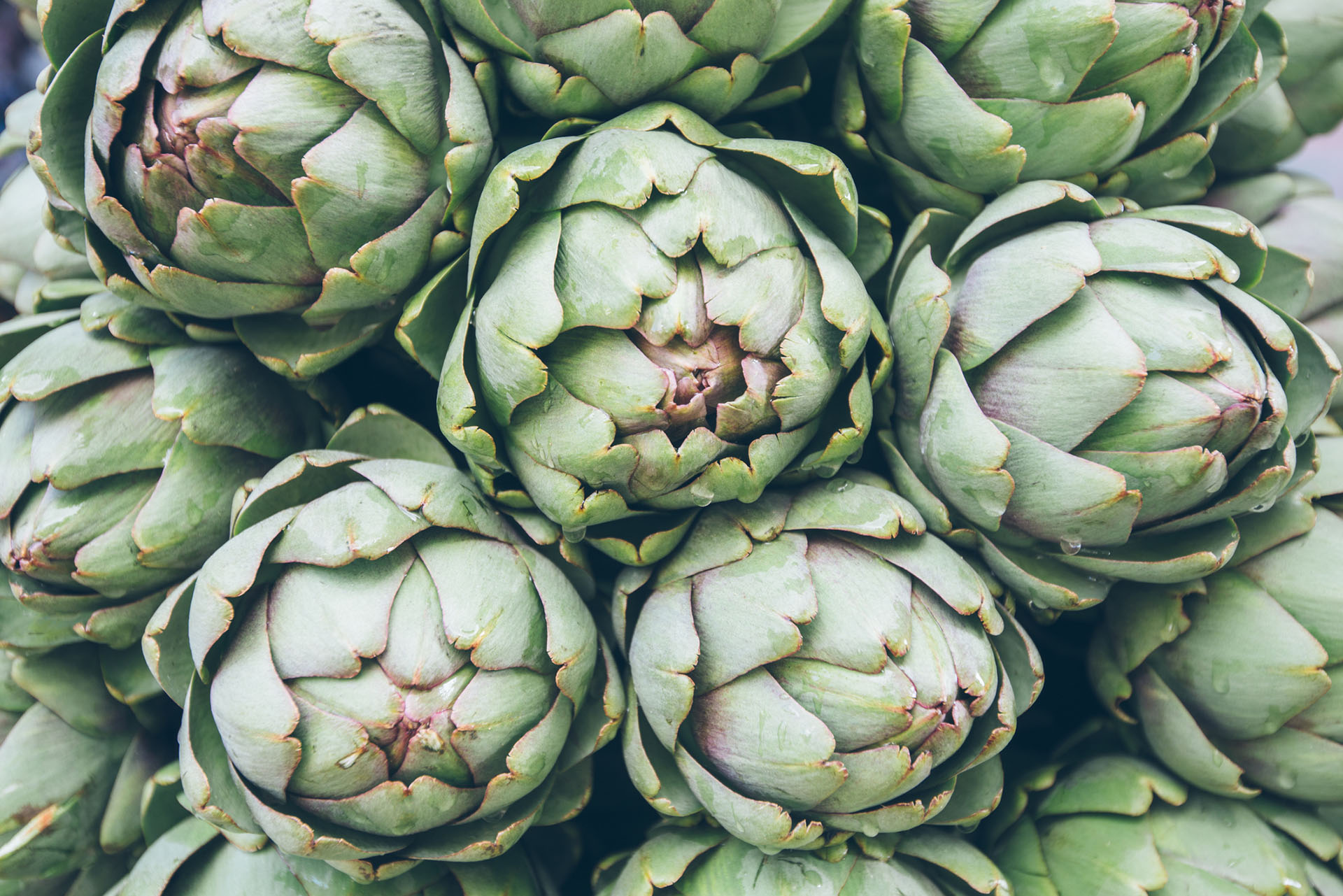 artichoke heads