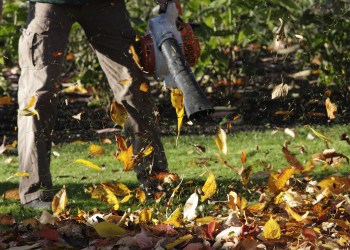 Artificial wind leaf blower blows autumn leaves