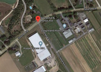 Google Maps