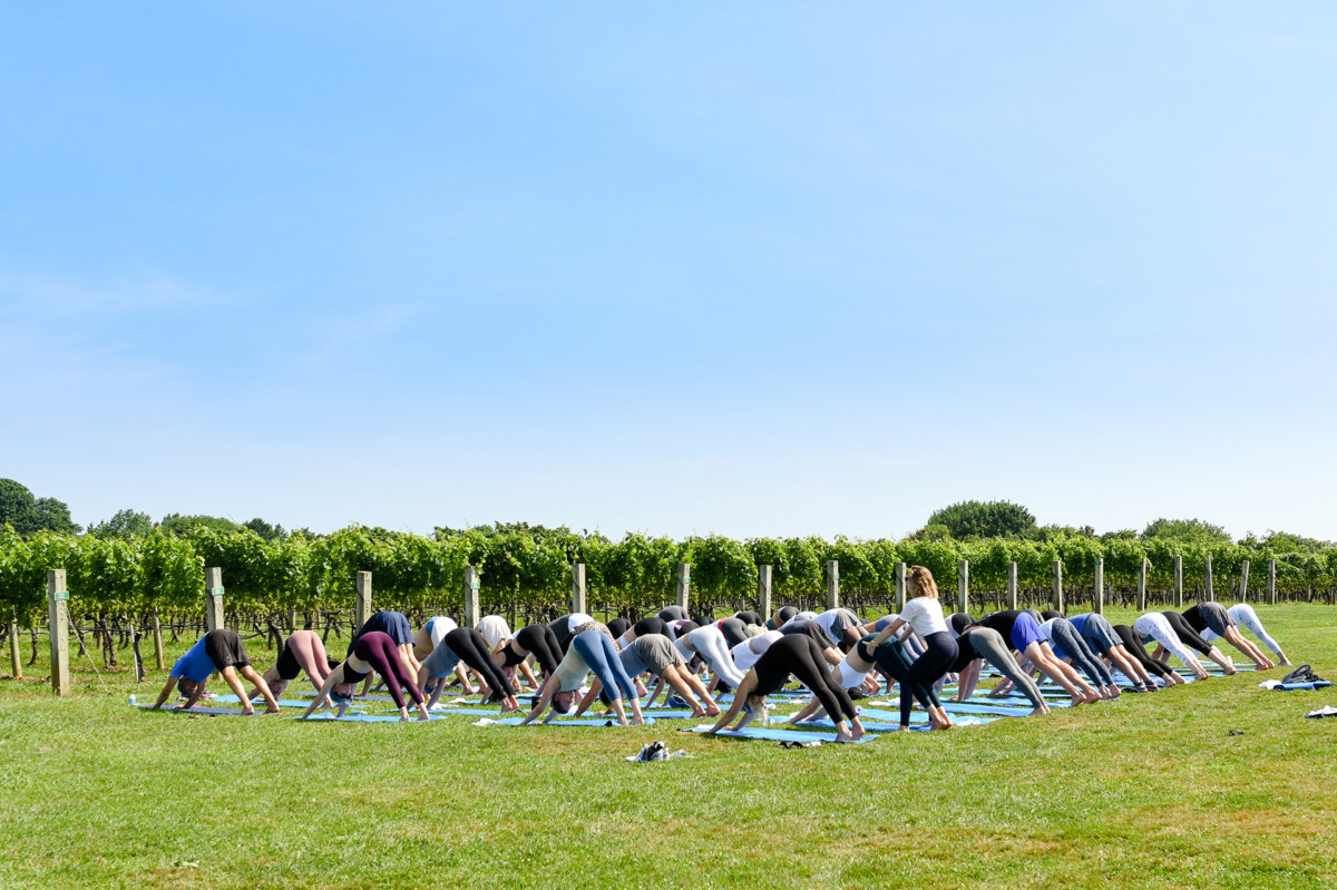 Yoga in the vines on the north fork